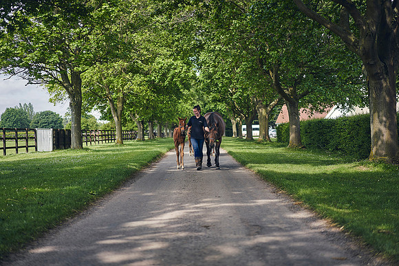 The-National-Stud-Dominic-James_DOM9644