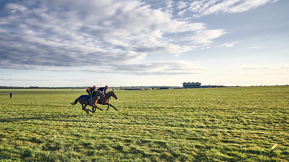 SUMMER GALLOPS-2nd-May-DJ-0167