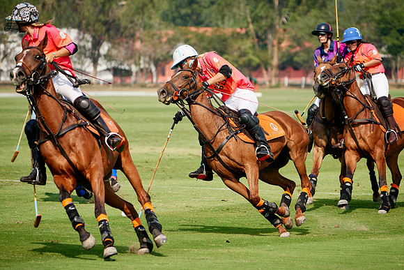 THAI-PINK-POLO-2020-Dominic-James_DJ98470.ARW2596