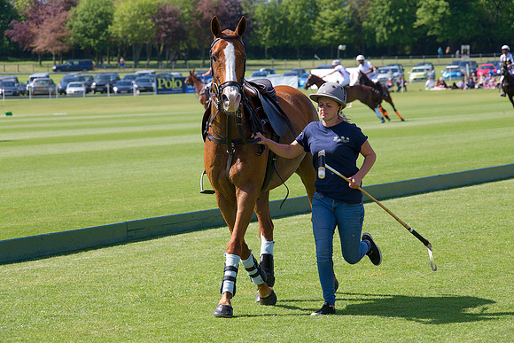 201505-SRIC-2015-001-_B5T0476.CR2