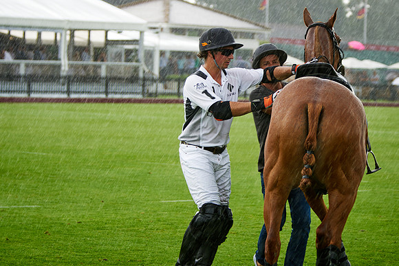DSC07808.ARW