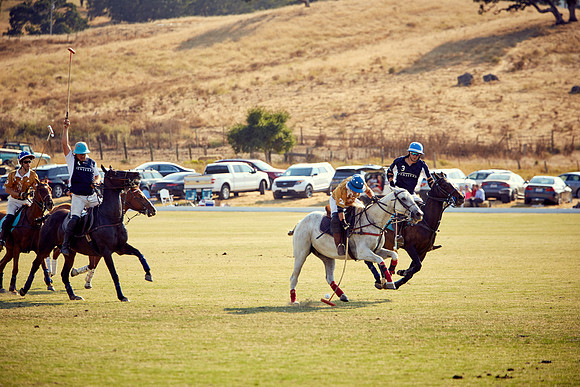 Oyster Cup Polo tournament