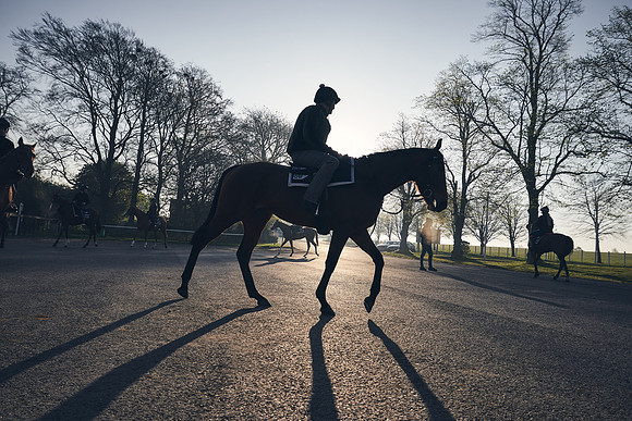 GEORGE-BOUGHEY-RACING-DJ-0655
