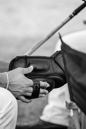 Royal Salute Gold Cup 2012 China Polo Open Tournament