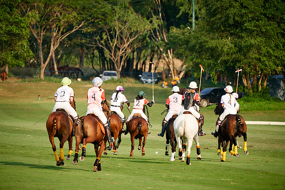 THAI-PINK-POLO-2019_DJ_3111