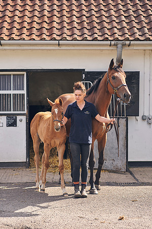 The-National-Stud-Dominic-James_DOM9522