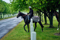 7th May 22 Watered Gallop 001