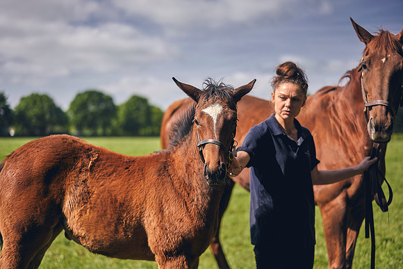 The-National-Stud-Dominic-James_DOM9502