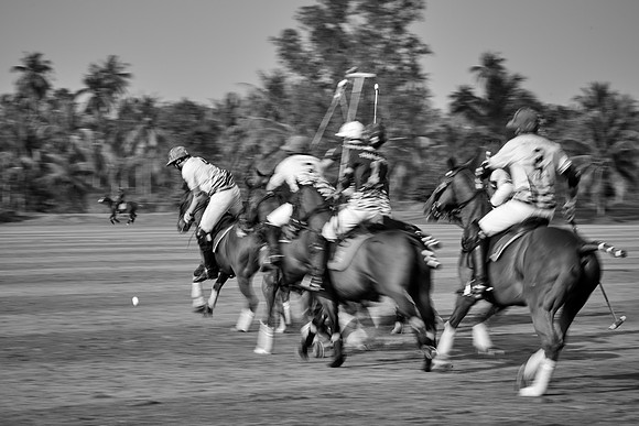 THAI-POLO-OPEN-2019_DJ_0513
