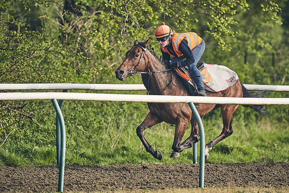 NEWMARKET-GALLOPS-24nd-APRIL-DJ-0681