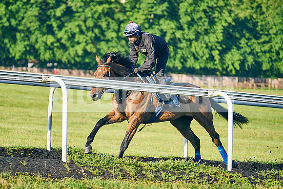 2022-06-09-Dominic-James-0549
