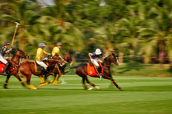 THAI-POLO-OPEN-2019_DJ_0589