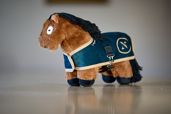 2024-11-29-Dominic-James-00016