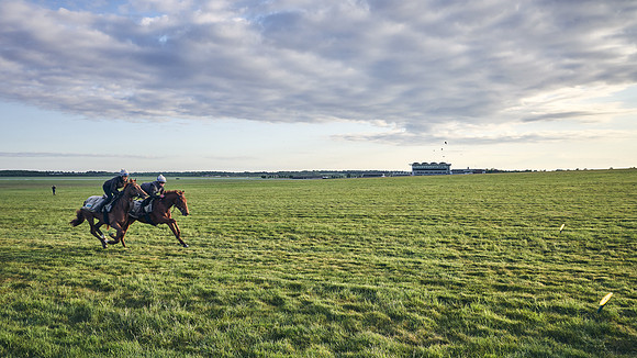 SUMMER GALLOPS-2nd-May-DJ-0766