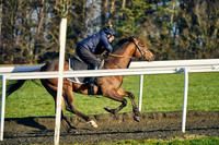 23rd Feb 22 Warren Hill 008