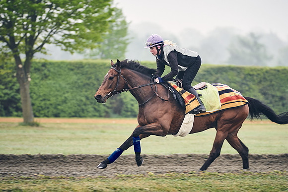 NEWMARKET-GALLOPS-24nd-APRIL-DJ-0184