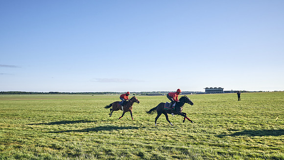SUMMER GALLOPS-2nd-May-DJ-1434