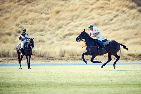 Oyster Cup Polo tournament