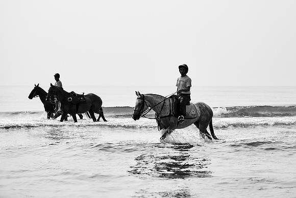 _DSC1769.ARW
