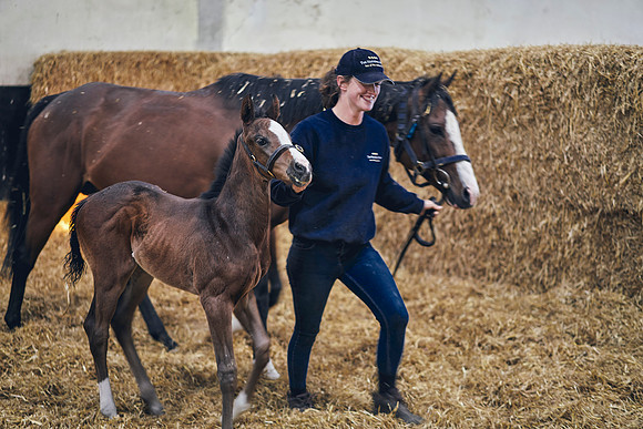 The-National-Stud-Dominic-James_DOM9437