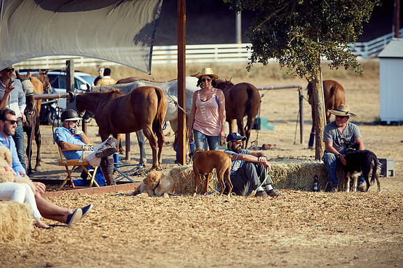 Oyster Cup Polo tournament