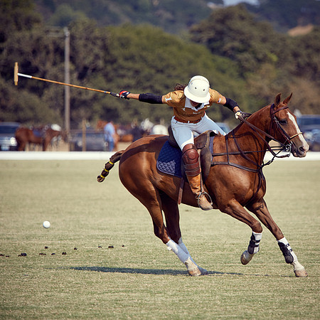 Oyster Cup Polo tournament