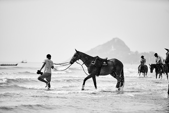 _DSC1726.ARW