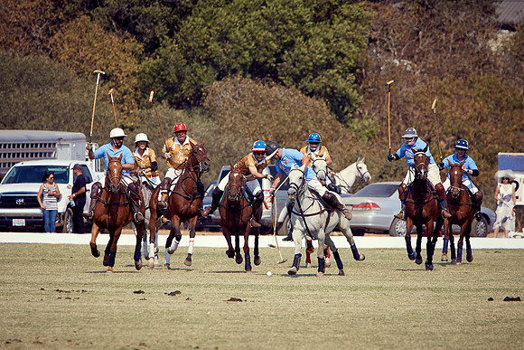 Oyster Cup Polo tournament