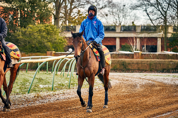 2021-02-11-Dominic-James-1619