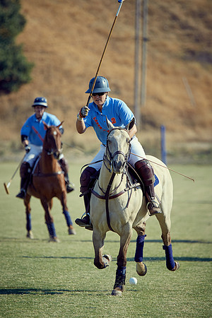 Oyster Cup Polo tournament