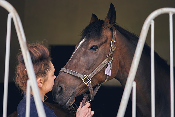 The-National-Stud-Dominic-James_DOM9576