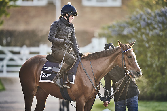GEORGE-BOUGHEY-RACING-DJ-2520