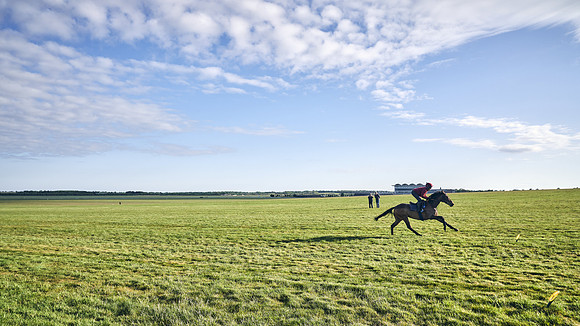 SUMMER GALLOPS-2nd-May-DJ-1583
