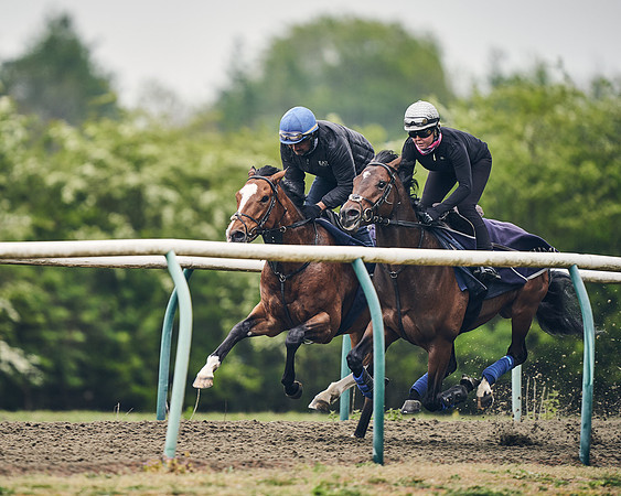 NEWMARKET-GALLOPS-25th-APRIL-DJ-0121