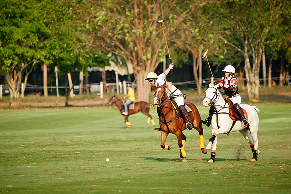 THAI-PINK-POLO-2019_DJ_3045