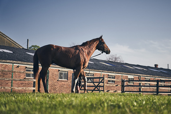 GEORGE-BOUGHEY-RACING-DJ-1079