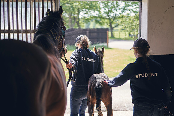 The-National-Stud-Dominic-James_DOM9442