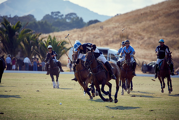 Oyster Cup Polo tournament