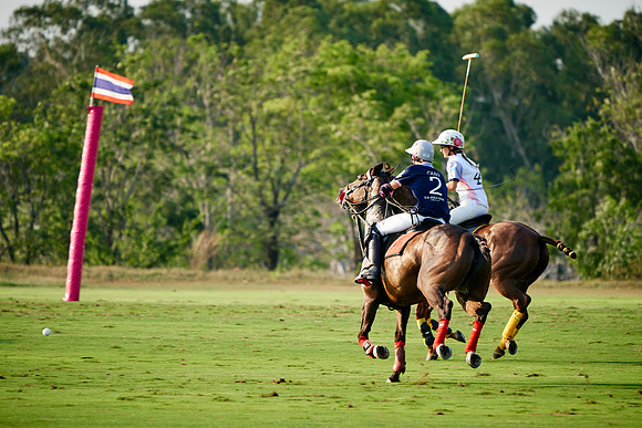 THAI-PINK-POLO-2019_DJ_5134
