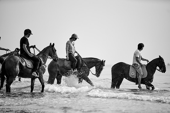 _DSC1544.ARW