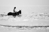 _DSC2771.ARW