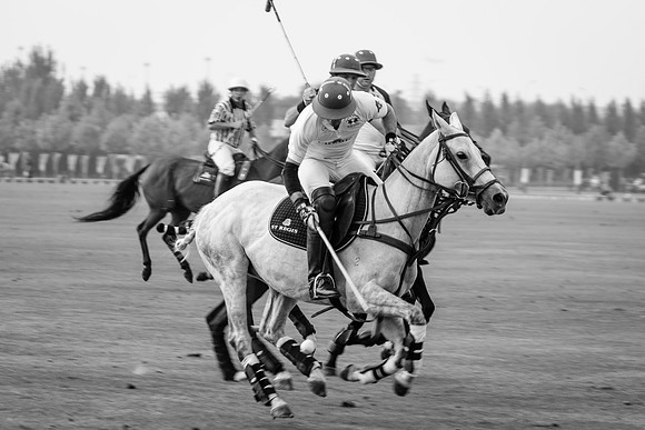 Royal Salute Gold Cup 2012 China Polo Open Tournament