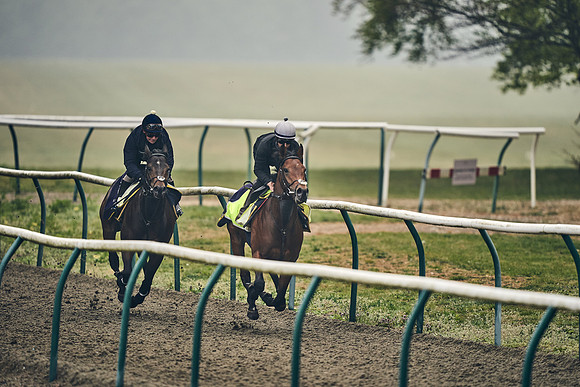 NEWMARKET-GALLOPS-24nd-APRIL-DJ-0338