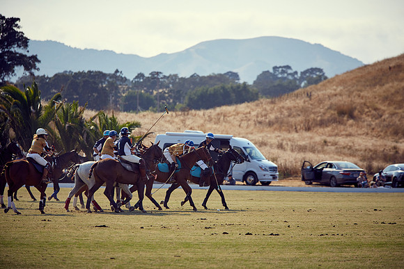Oyster Cup Polo tournament