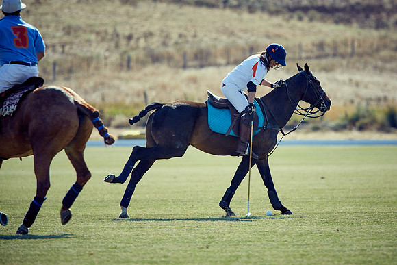 Oyster Cup Polo tournament