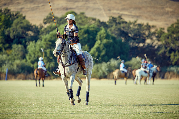 Oyster Cup Polo tournament