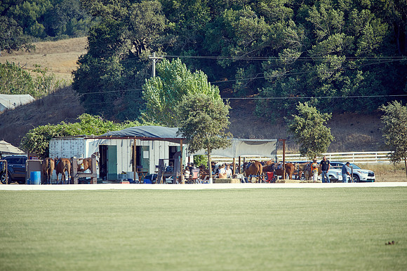 Oyster Cup Polo tournament