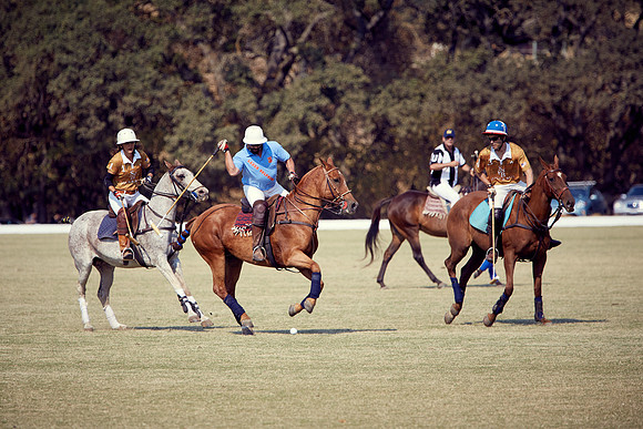 Oyster Cup Polo tournament