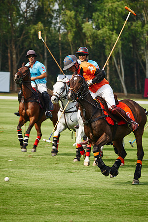 12th Annual Thai Polo Open 20 Jan 2018