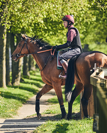 NEWMARKET-GALLOPS-22nd-APRIL-DJ-4037